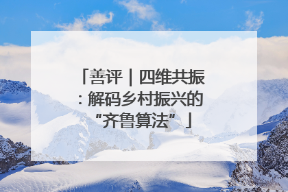 善评｜四维共振：解码乡村振兴的“齐鲁算法”
