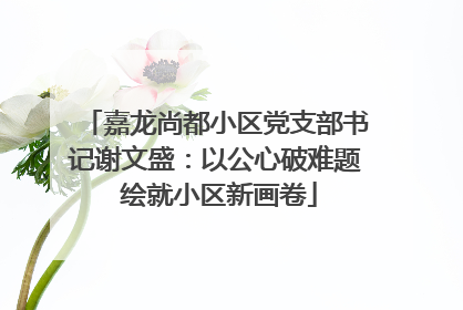 嘉龙尚都小区党支部书记谢文盛：以公心破难题 绘就小区新画卷