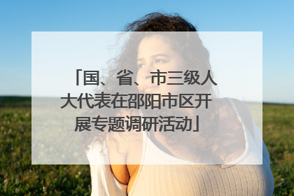 国、省、市三级人大代表在邵阳市区开展专题调研活动