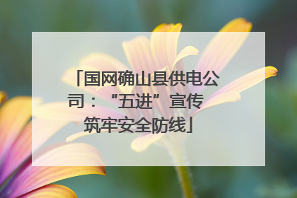 国网确山县供电公司：“五进”宣传 筑牢安全防线