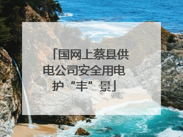 国网上蔡县供电公司安全用电护“丰”景