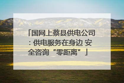 国网上蔡县供电公司：供电服务在身边 安全咨询“零距离”