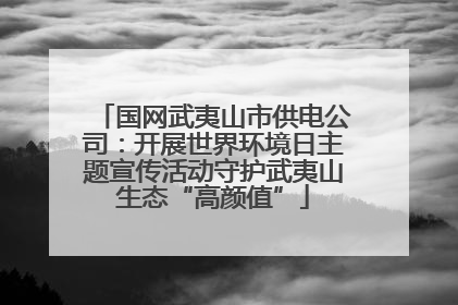 国网武夷山市供电公司：开展世界环境日主题宣传活动守护武夷山生态“高颜值”