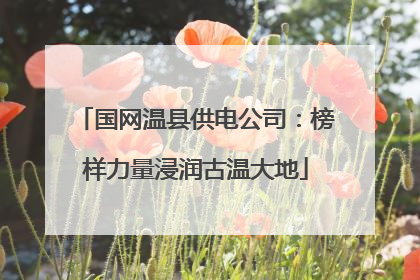 国网温县供电公司：榜样力量浸润古温大地