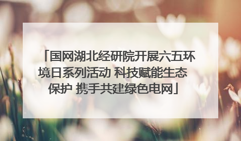 国网湖北经研院开展六五环境日系列活动 科技赋能生态保护 携手共建绿色电网