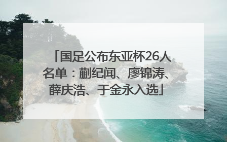 国足公布东亚杯26人名单：蒯纪闻、廖锦涛、薛庆浩、于金永入选