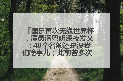 国足再次无缘世界杯，演员潘粤明深夜发文：48个名额还是没我们啥事儿；此前曾多次为国足发声