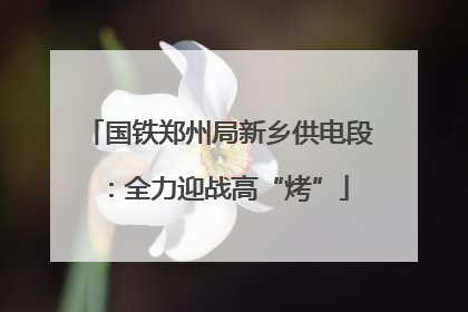 国铁郑州局新乡供电段：全力迎战高“烤”