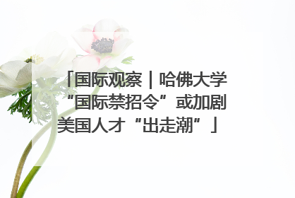 国际观察｜哈佛大学“国际禁招令”或加剧美国人才“出走潮”