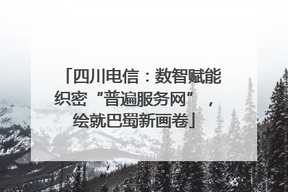 四川电信：数智赋能织密“普遍服务网”，绘就巴蜀新画卷