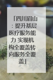四川眉山：提升基层医疗服务能力 实现机构全覆盖转向服务全覆盖