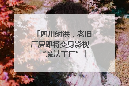四川射洪：老旧厂房即将变身影视“魔法工厂”