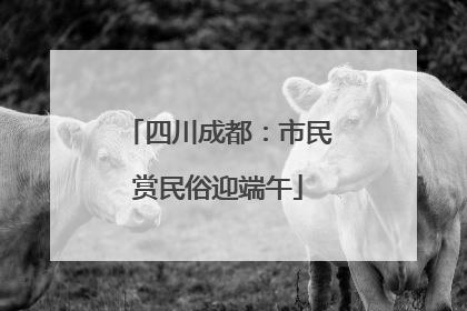 四川成都：市民赏民俗迎端午