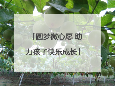 圆梦微心愿 助力孩子快乐成长