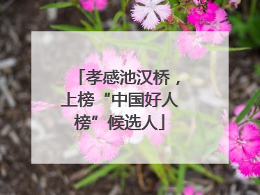 孝感池汉桥，上榜“中国好人榜”候选人