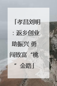孝昌刘明：返乡创业助振兴 勇闯致富“桃”金路