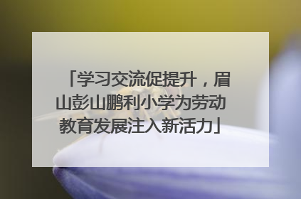 学习交流促提升，眉山彭山鹏利小学为劳动教育发展注入新活力