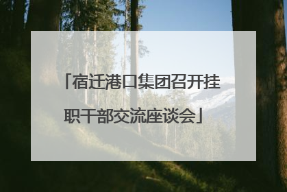 宿迁港口集团召开挂职干部交流座谈会