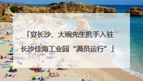 宴长沙、大碗先生携手入驻 长沙佳海工业园“满员运行”