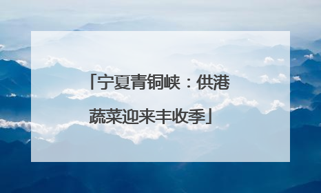 宁夏青铜峡：供港蔬菜迎来丰收季