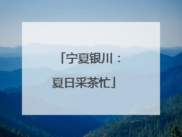 宁夏银川：夏日采茶忙