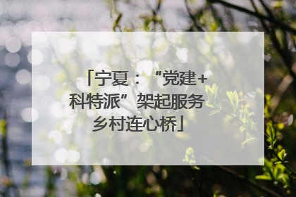 宁夏：“党建+科特派”架起服务乡村连心桥