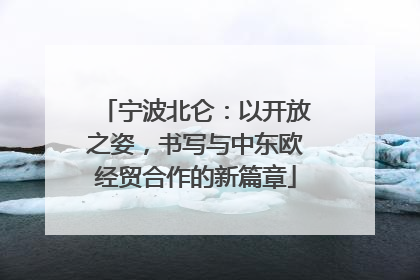 宁波北仑：以开放之姿，书写与中东欧经贸合作的新篇章