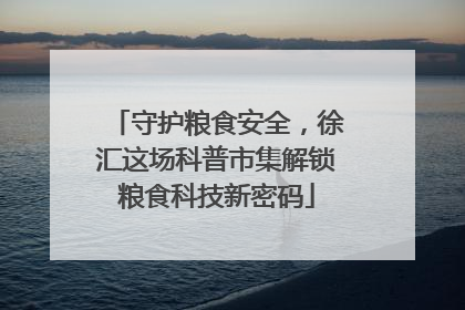 守护粮食安全，徐汇这场科普市集解锁粮食科技新密码