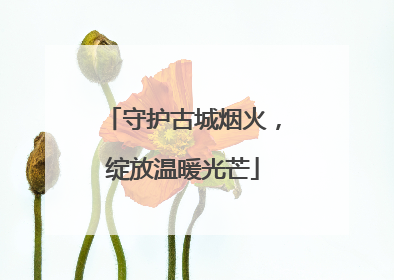 守护古城烟火，绽放温暖光芒