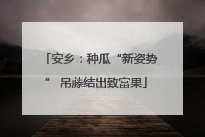 安乡：种瓜“新姿势” 吊藤结出致富果