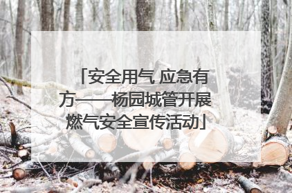 安全用气 应急有方——杨园城管开展燃气安全宣传活动