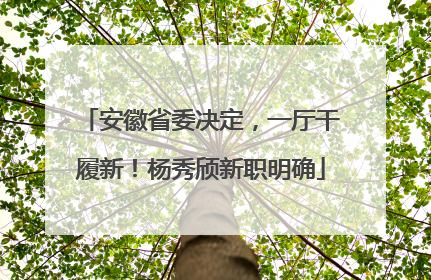 安徽省委决定，一厅干履新！杨秀颀新职明确