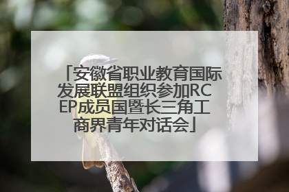 安徽省职业教育国际发展联盟组织参加RCEP成员国暨长三角工商界青年对话会