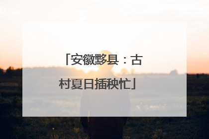 安徽黟县：古村夏日插秧忙