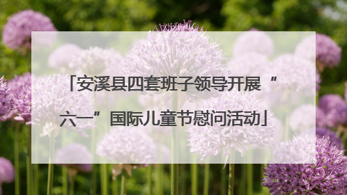 安溪县四套班子领导开展“六一”国际儿童节慰问活动