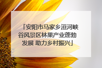 安阳市马家乡洹河峡谷风景区林果产业蓬勃发展 助力乡村振兴