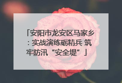 安阳市龙安区马家乡：实战演练砺精兵 筑牢防汛“安全堤”