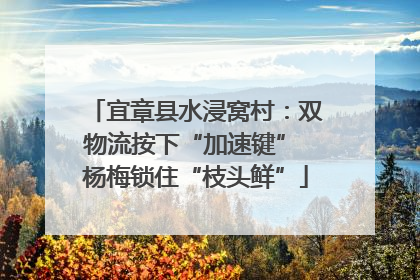 宜章县水浸窝村：双物流按下“加速键” 杨梅锁住“枝头鲜”