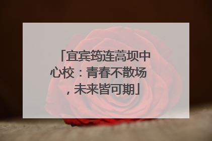 宜宾筠连蒿坝中心校：青春不散场，未来皆可期