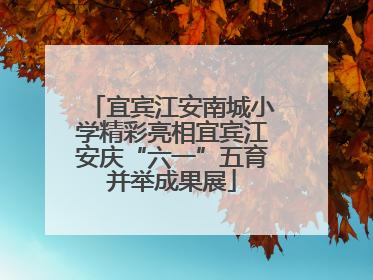 宜宾江安南城小学精彩亮相宜宾江安庆“六一”五育并举成果展
