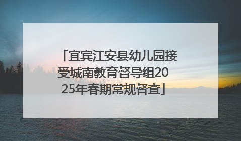宜宾江安县幼儿园接受城南教育督导组2025年春期常规督查