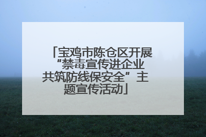 宝鸡市陈仓区开展“禁毒宣传进企业 共筑防线保安全”主题宣传活动