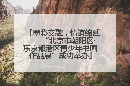 墨彩交融，情谊绵延——“北京市朝阳区·东京都港区青少年书画作品展”成功举办