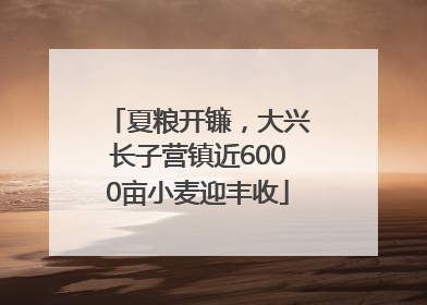 夏粮开镰，大兴长子营镇近6000亩小麦迎丰收