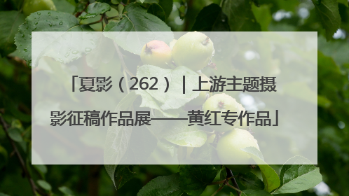 夏影（262）｜上游主题摄影征稿作品展——黄红专作品