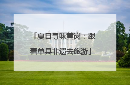 夏日寻味黄岗：跟着单县非遗去旅游