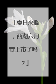 夏日来临，西湖六月黄上市了吗？
