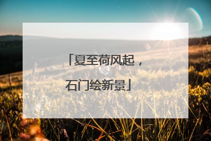 夏至荷风起，石门绘新景