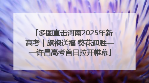 多图直击河南2025年新高考｜旗袍送福 葵花迎胜——许昌高考首日拉开帷幕