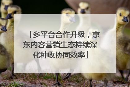 多平台合作升级，京东内容营销生态持续深化种收协同效率